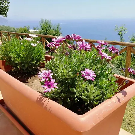 Donna Antonia - Amalfi Coast *