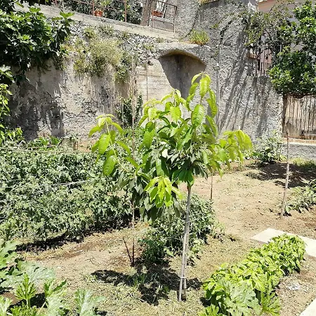 Donna Antonia - Amalfi Coast Villa Conca dei Marini