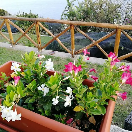 Villa Donna Antonia - Amalfi Coast *
